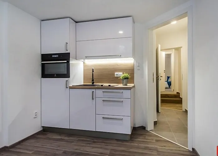 Vizu Apartmán Praha